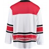 Miehille NHL Carolina Hurricanes Pelipaita Blank Adidas Valkoinen Authentic